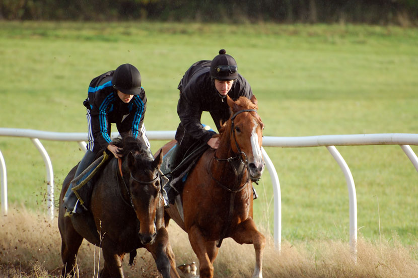 Chuckie on the gallops
