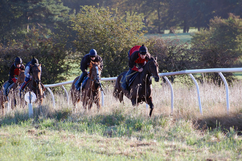 Late Sept gallop lot 1