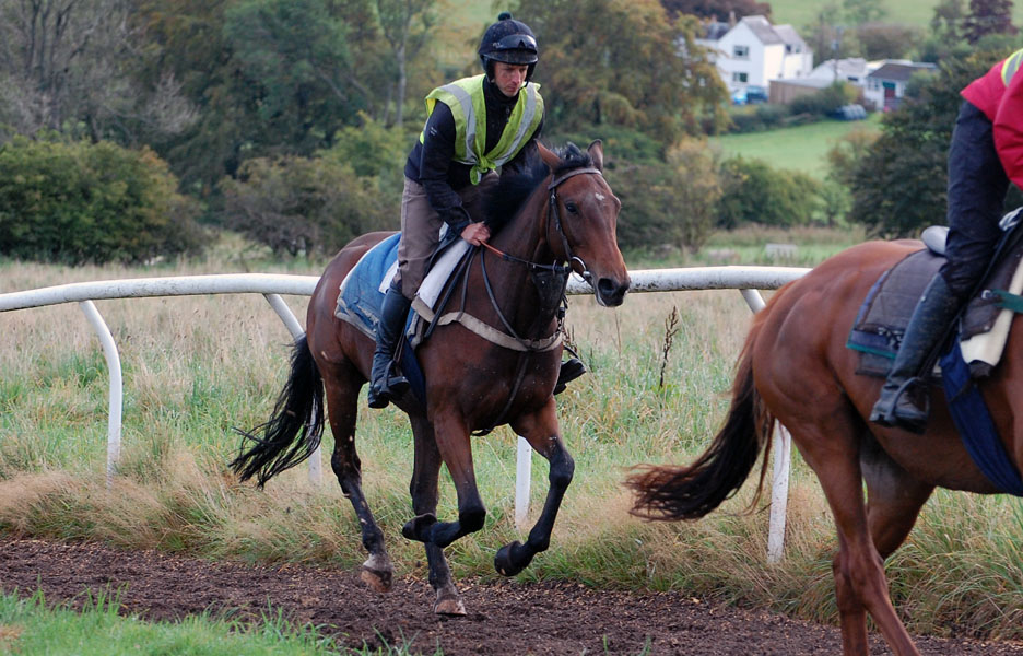Carter on the gallops