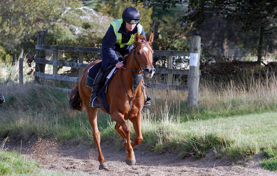 Baby on the gallops 