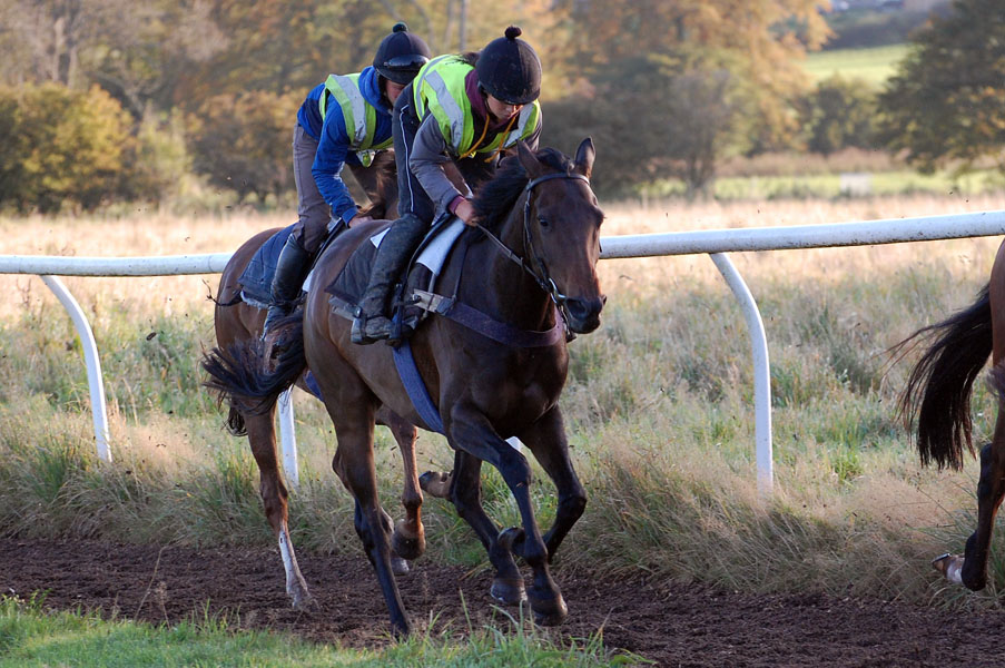 Thimble on the gallops