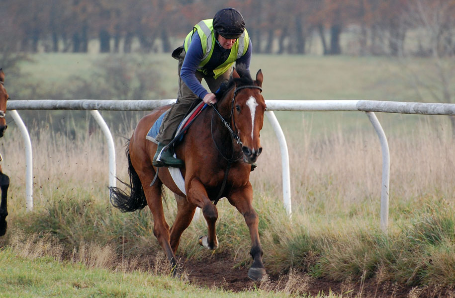 Kerr on the gallops