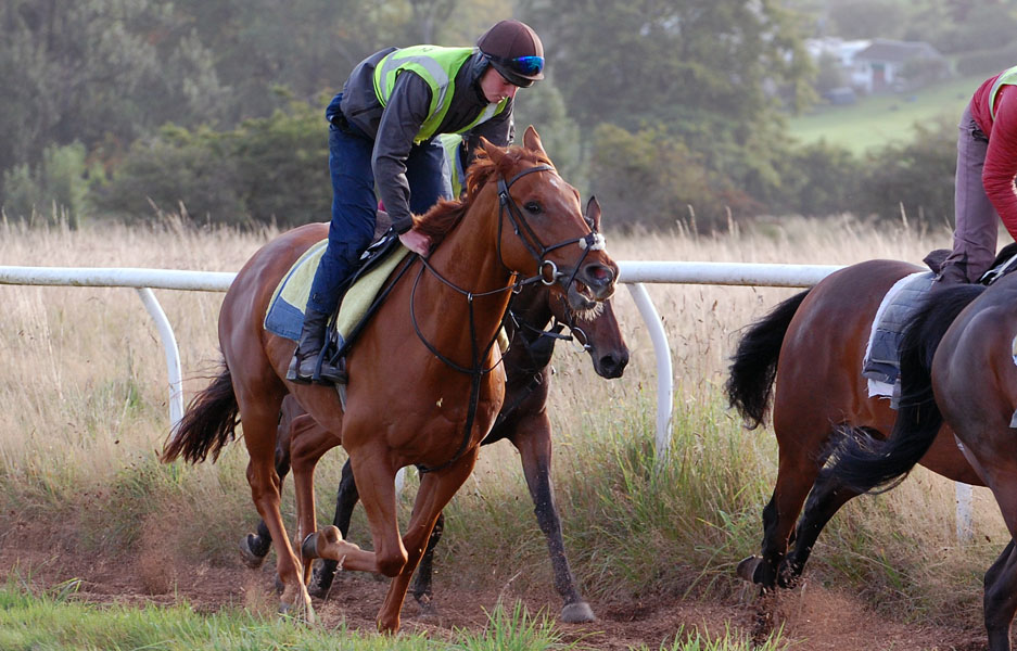Mac on the gallops