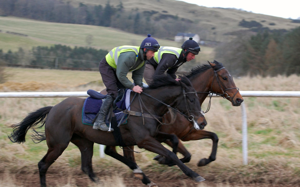 Theo on the gallops