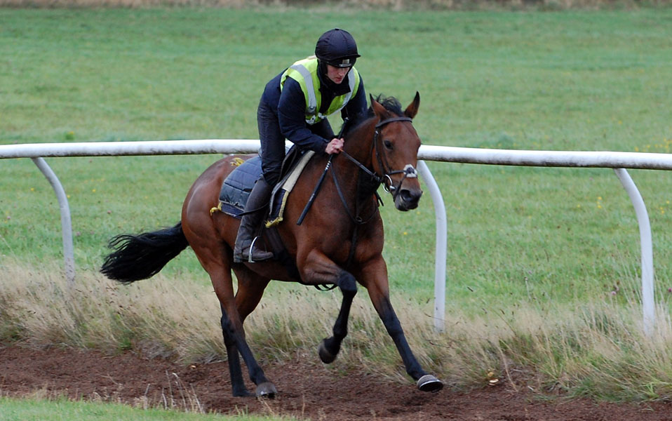 Katie on the gallops