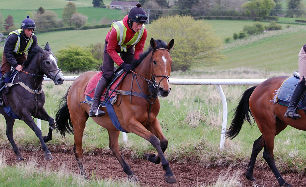 Andy on gallops