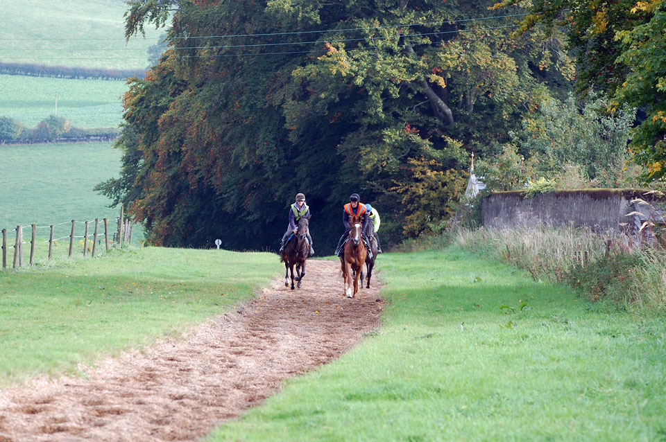 View from gallops