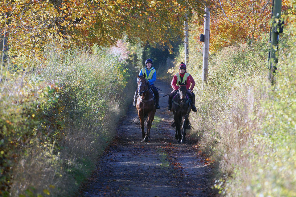 Laughing down the lane