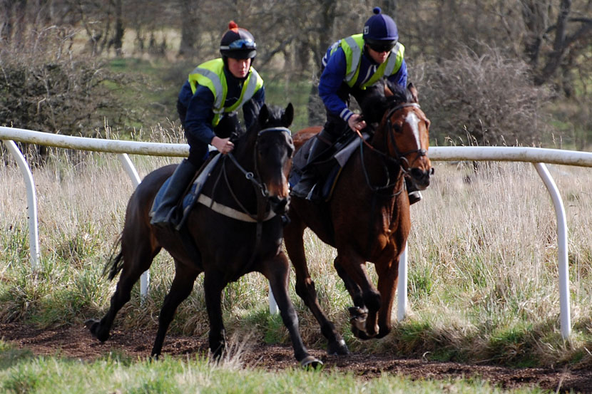 Keyboard Gangster gallop