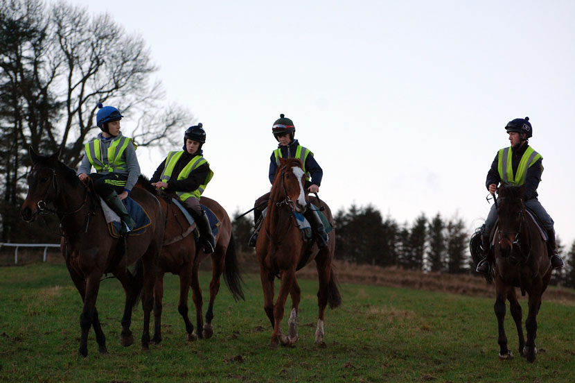 Late December gallop