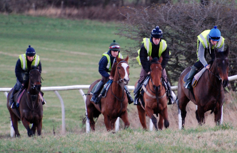 Late December gallop