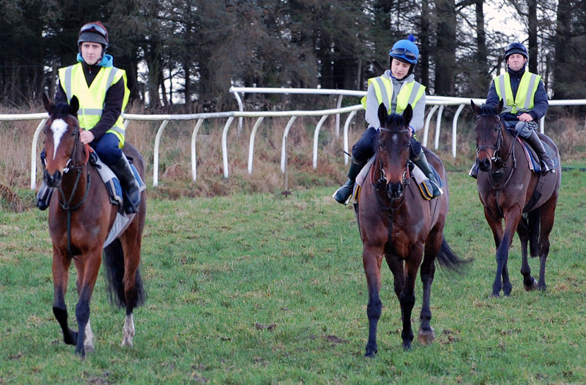 Pre gallop Dec 15