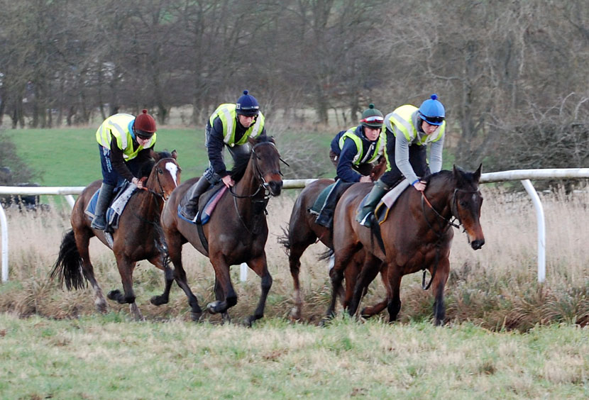 Late December gallop