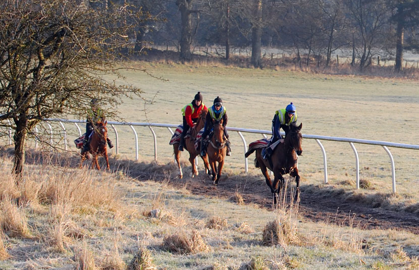 Lat Feb gallop lot 1