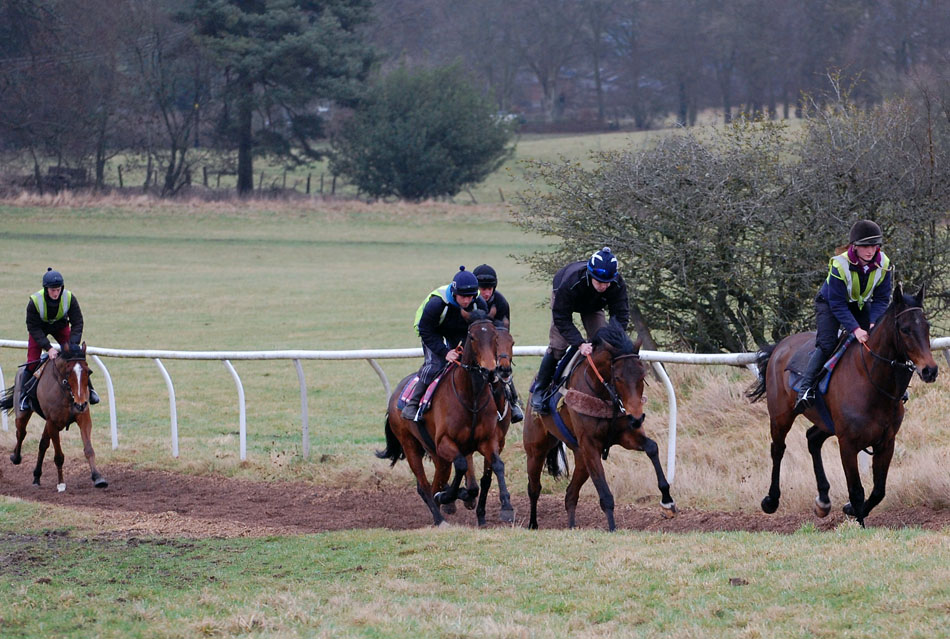 Mid Feb gallop