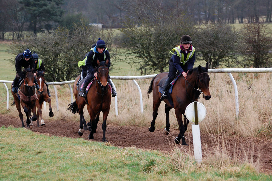 Bruce leading the lot