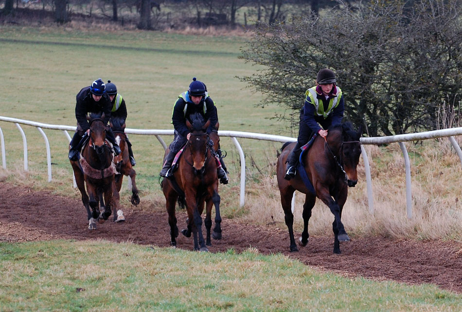 Bruce leading the string