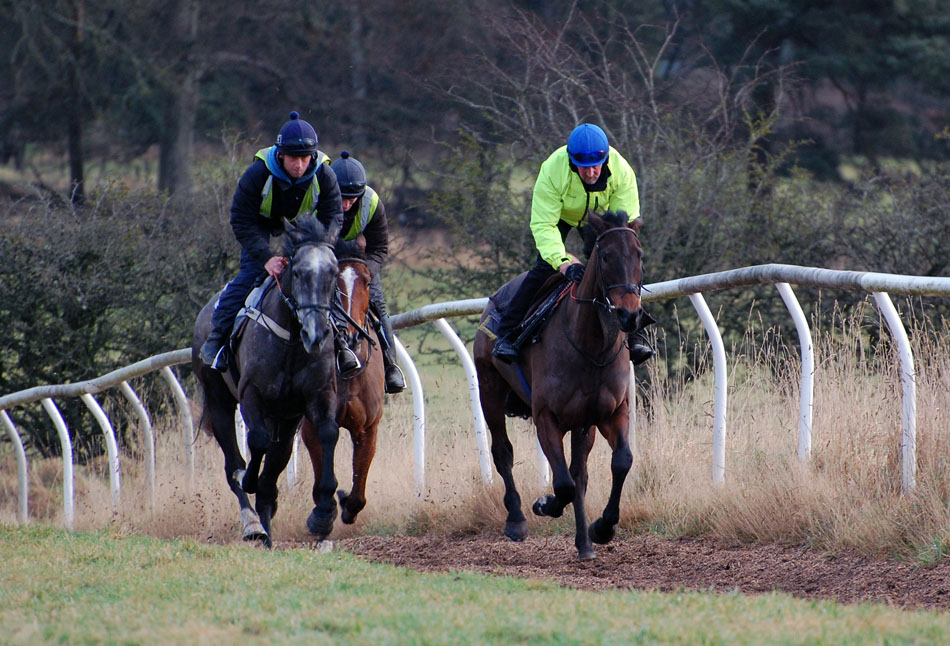 Mid Feb gallop lot 1