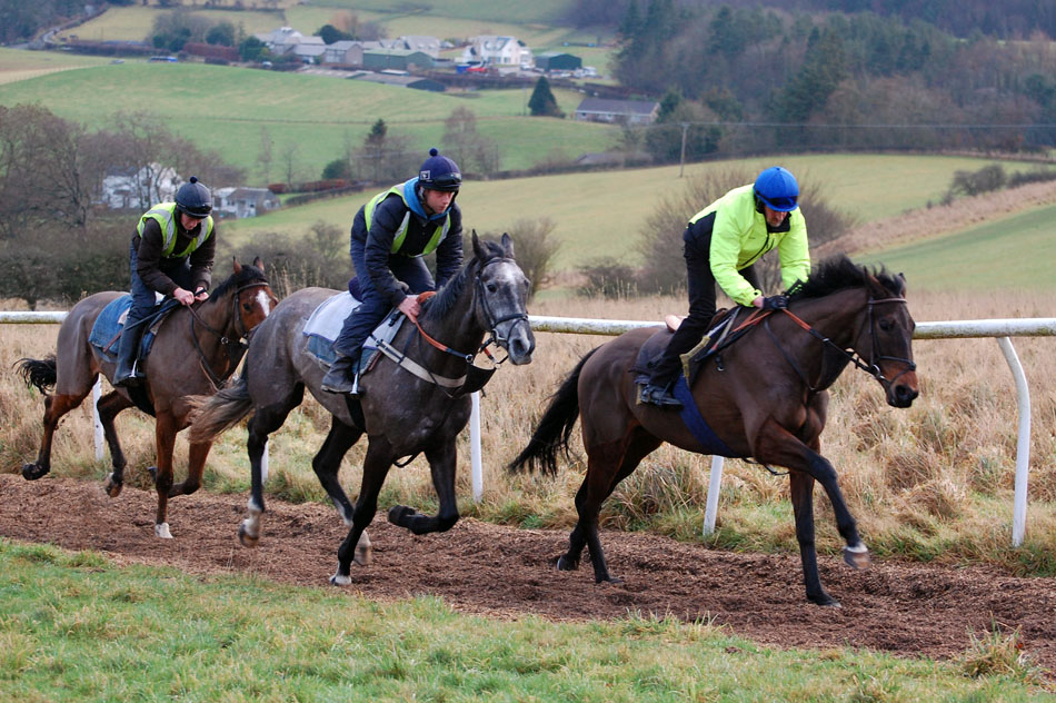 Mid Feb gallop