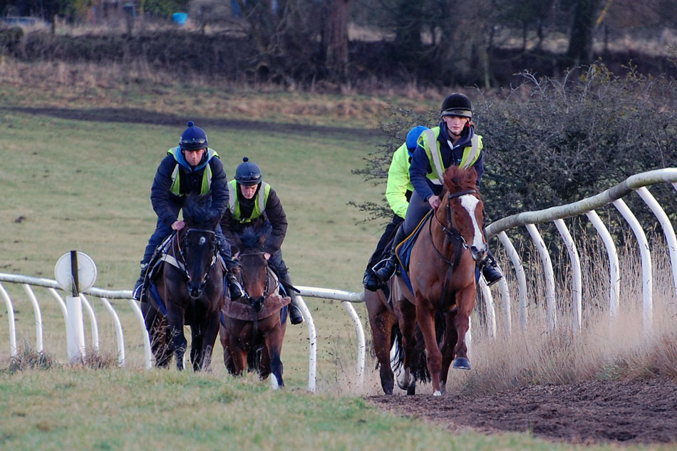 Mid Feb gallop lot 2