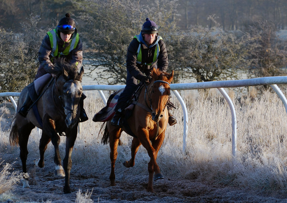 Baby on the gallops