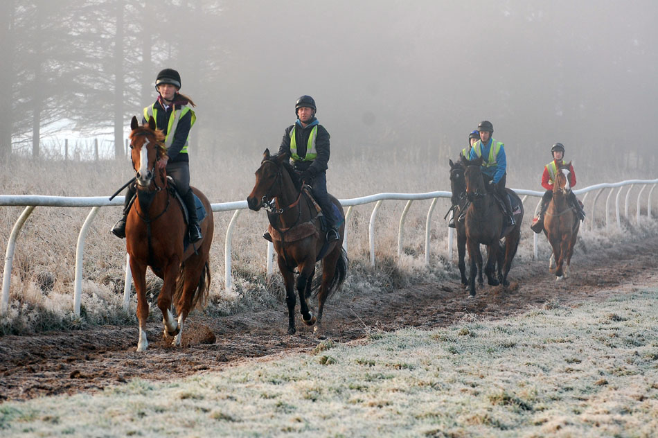 Mid January Gallop