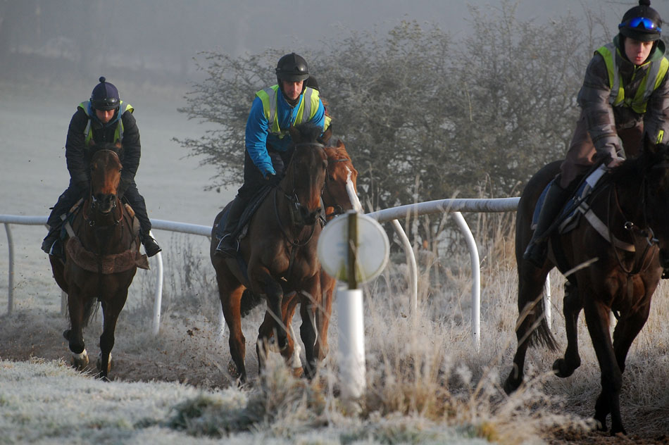 January gallop