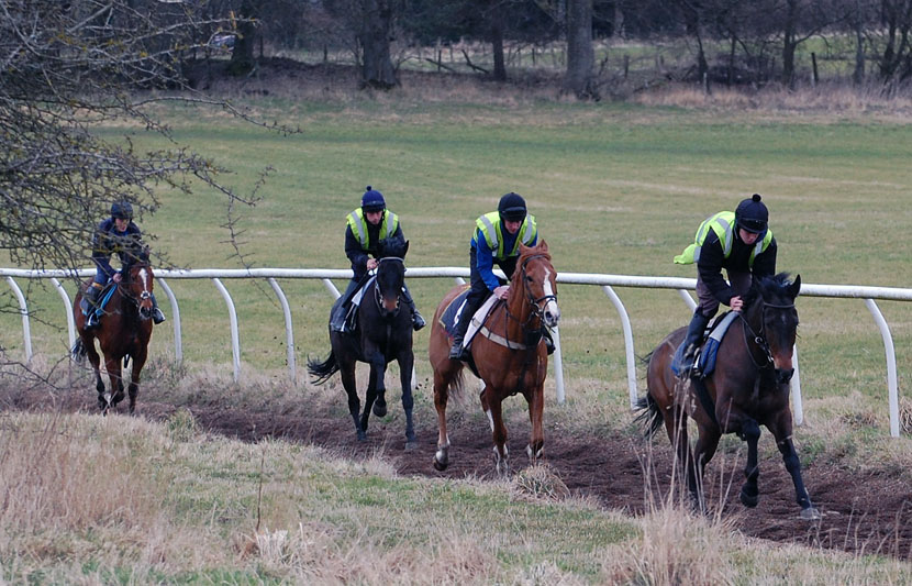 Mid March gallop