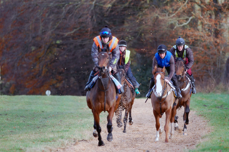 End November gallop Julie