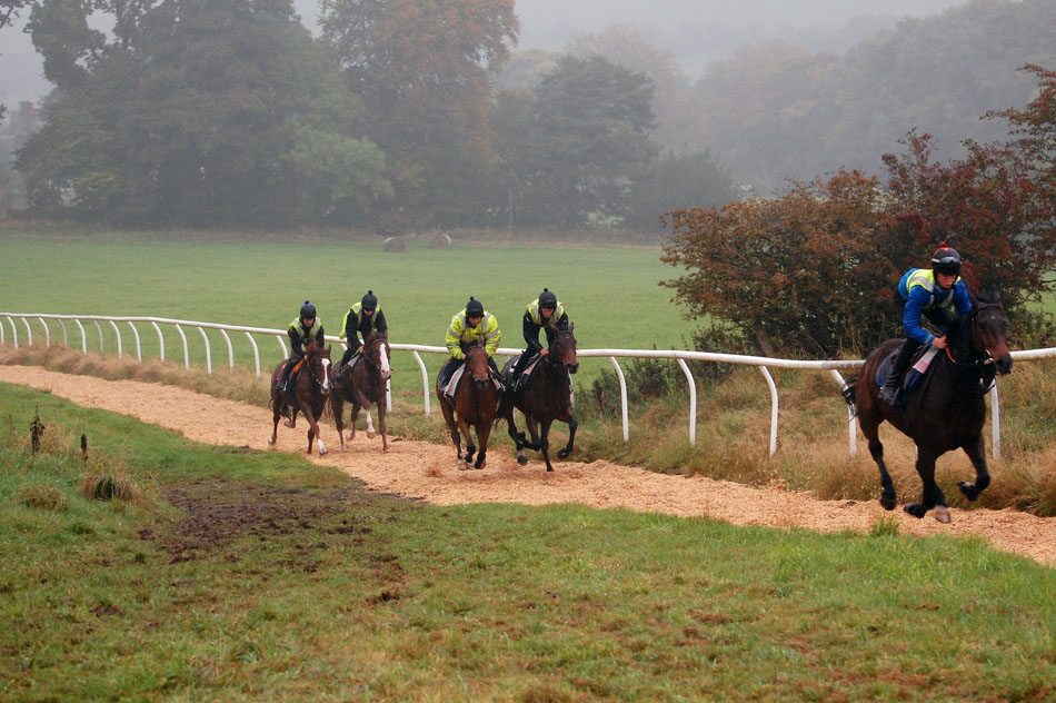 Late Oct gallop lot 1