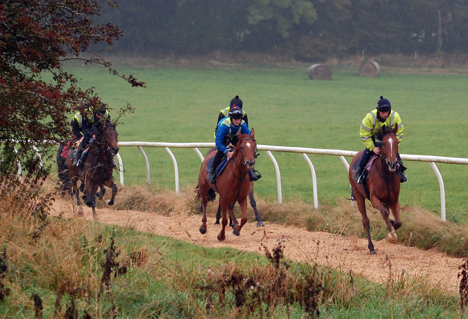 Late Oct gallop lot 2