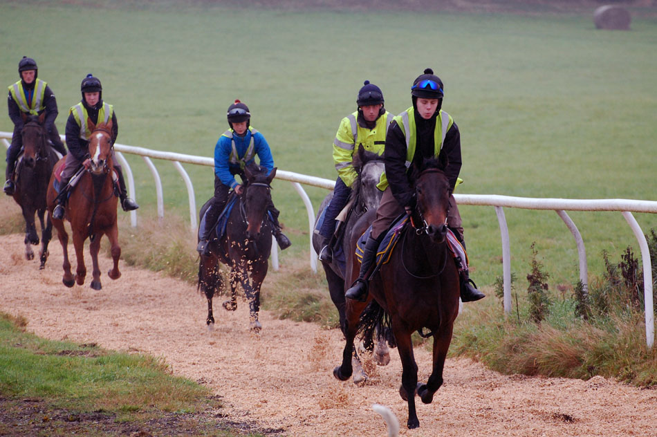 Late Oct gallop lot 3