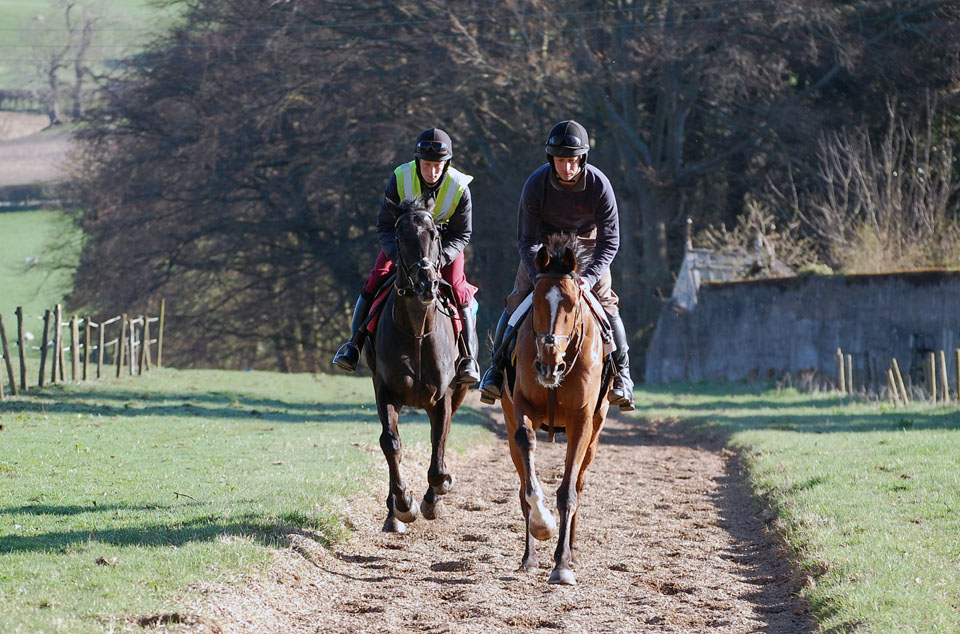 Sunny Gallop in April