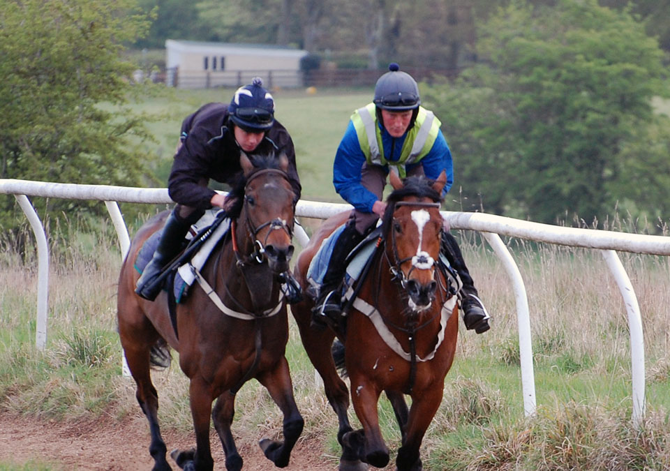 Margaret & Houxty gallop