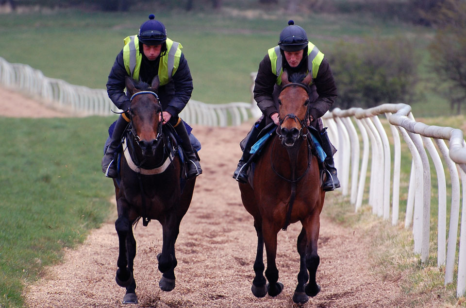 Katie & Thimble working