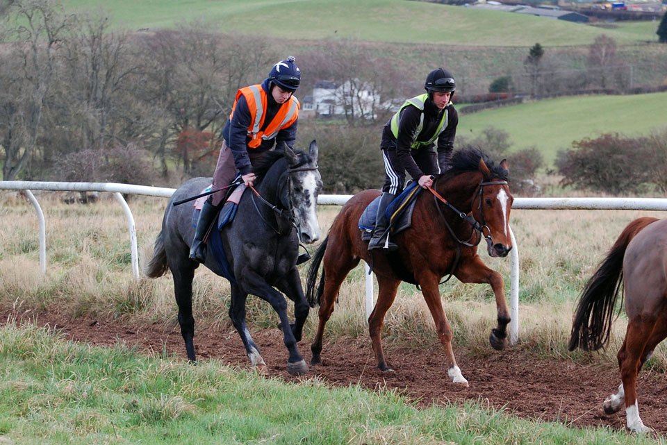 December gallop