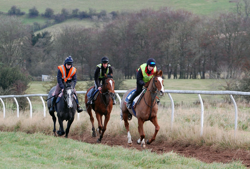 December gallop