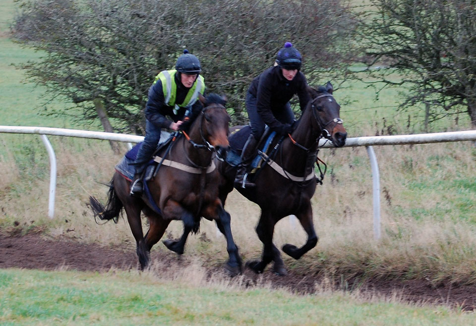 Mid Decermber gallop