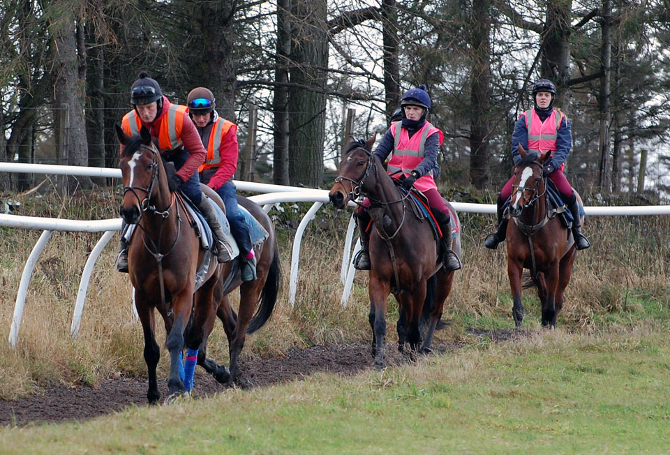 December pre  gallop