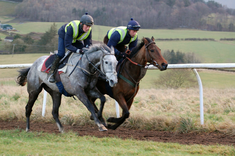 Mid Feb Gallop