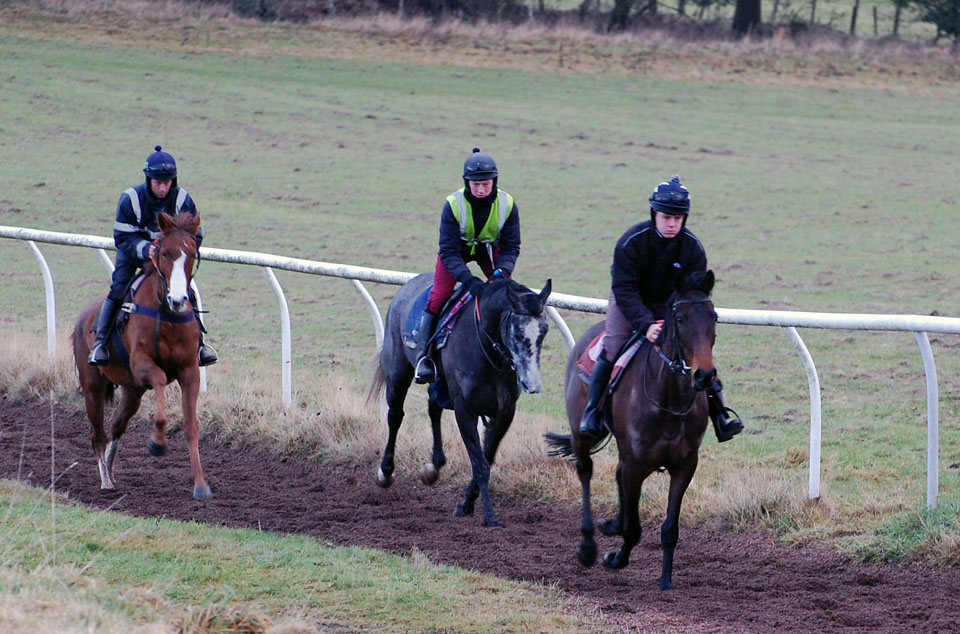 Trio on the gallop