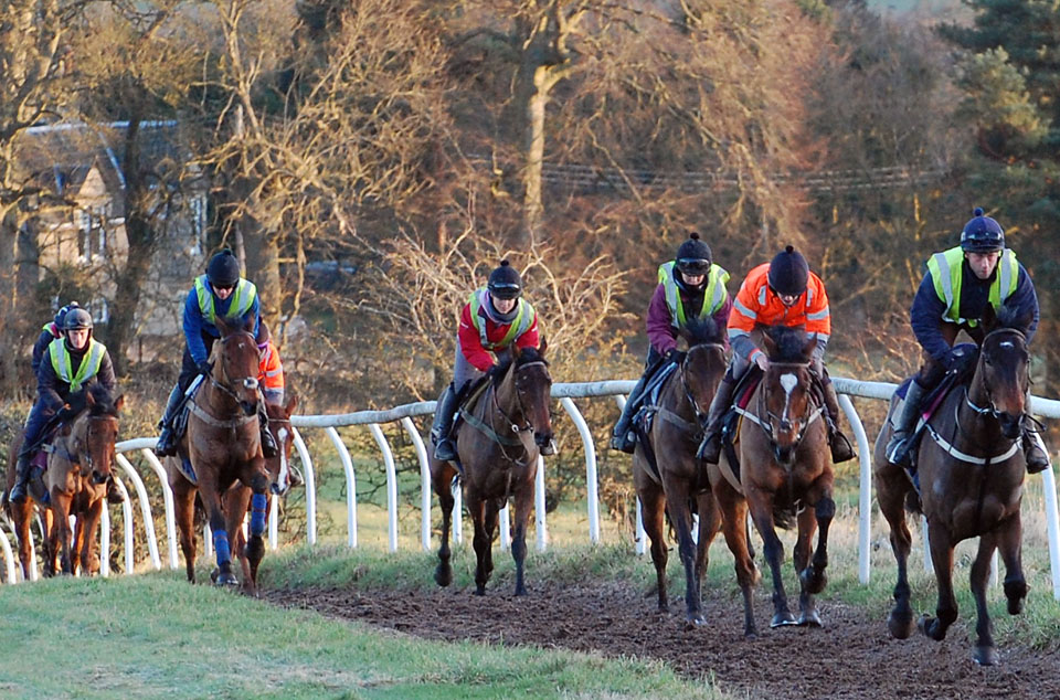 Mid Jan Gallop