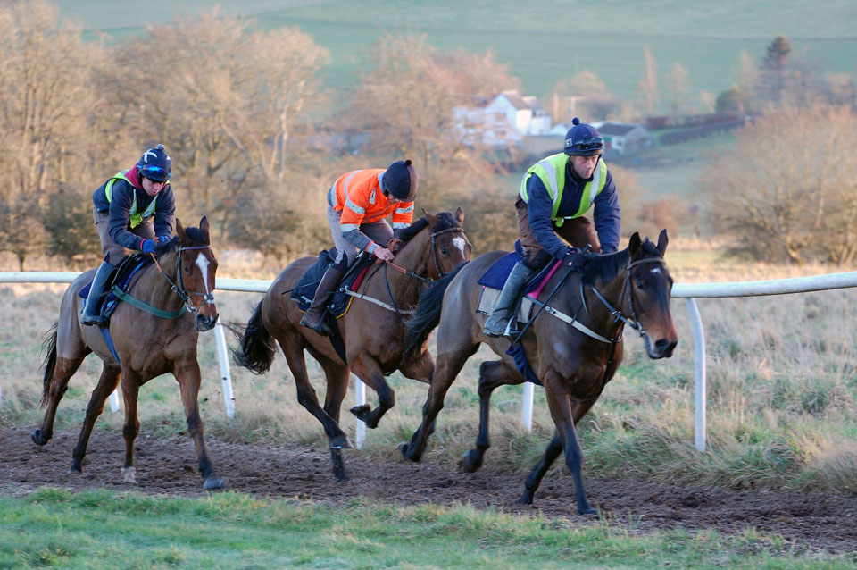 Mid January gallop