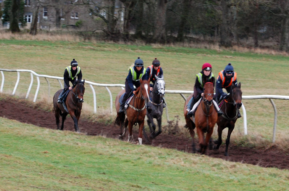 January Gallop