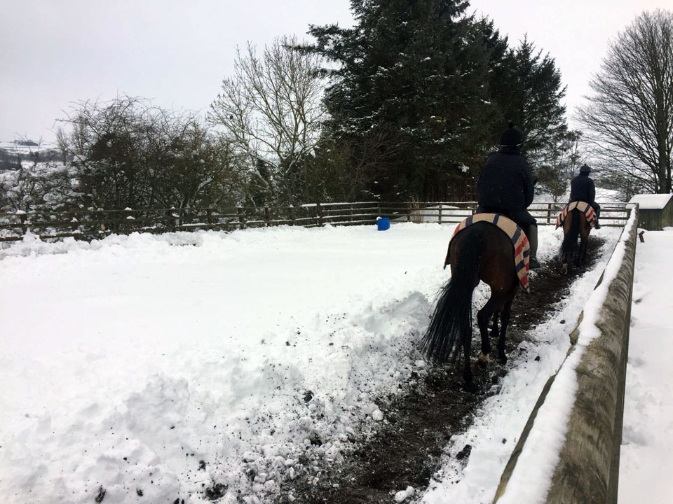 Snow in Dodlands Steading
