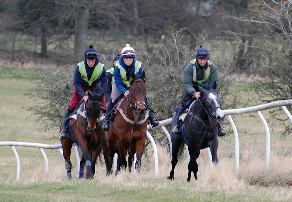 Mid March Gallop