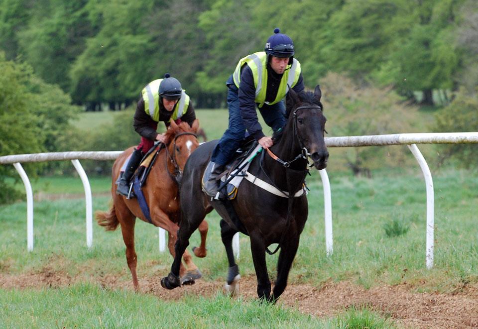 Wor Lass working well