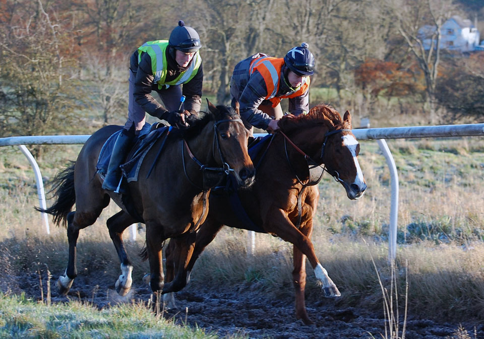 Cliff & Hart upsides