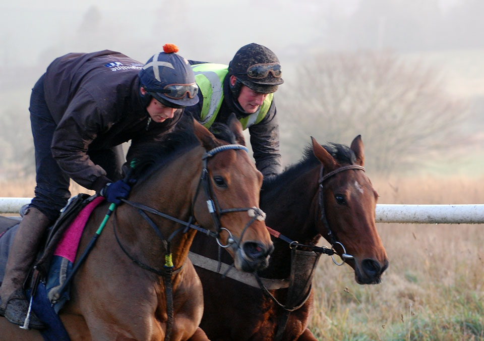 Katie on the gallops