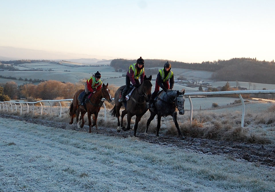 Late November gallop